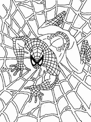 Mẫu tranh tô màu cho bé hình siêu nhân nhện
