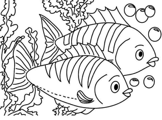 Mẫu tranh tô màu dành cho bé từ 2 đến 5 tuổi hình 2 chú cá