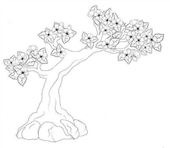 Mẫu tranh tô màu hình cây mai dành cho bé mầm non tập tô