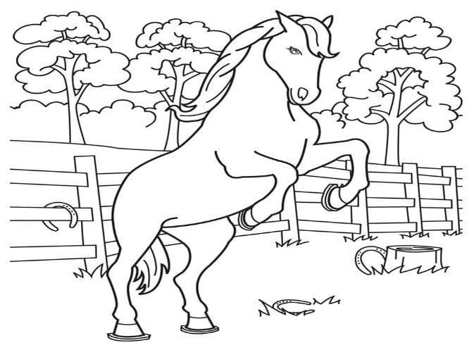 Hình nền Nền Cuốn Sách Tô Màu Của Một Con Ngựa Chạy Trên Cánh đồng Nền, Tranh  Tô Màu Con Ngựa, Ngựa, động Vật Background Vector để tải xuống miễn phí -