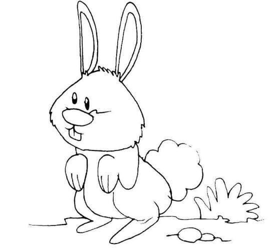 cua cuon - cua kinh 2: Tranh tô màu hình con thỏ