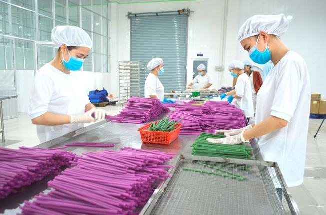 Sản xuất ống hút gạo tại OCHAO