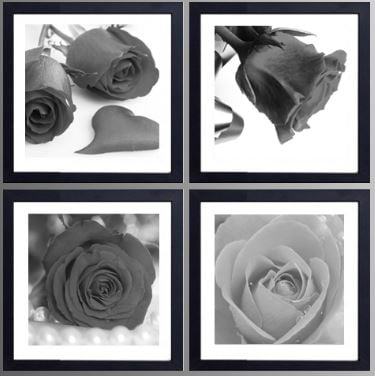 Tranh trắng đen nghệ thuật về loài hoa tượng trưng cho tình yêu