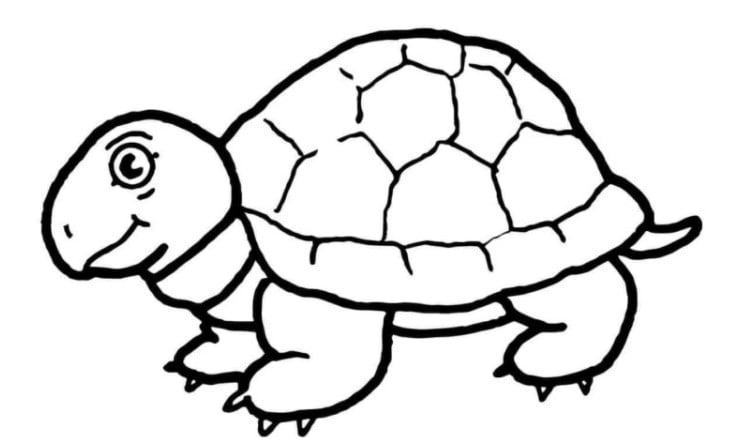 33 Tranh tô màu con rùa đáng yêu cho bé tập tô