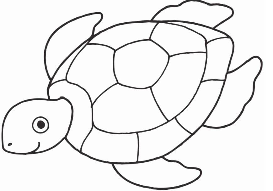 Top Với Hơn 315 Vẽ Con Rùa Dễ Thương Siêu Đỉnh - Thtantai2.Edu.Vn