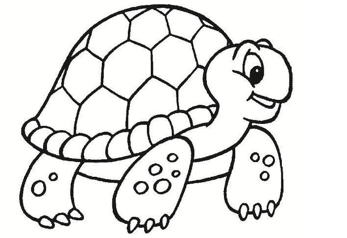 Hãy sáng tạo và thư giãn với bức tranh tô màu về con rùa dễ thương. Các chi tiết nhỏ sẽ mang lại cho bạn những giây phút thư giãn và tập trung cao độ trên mọi đường nét.